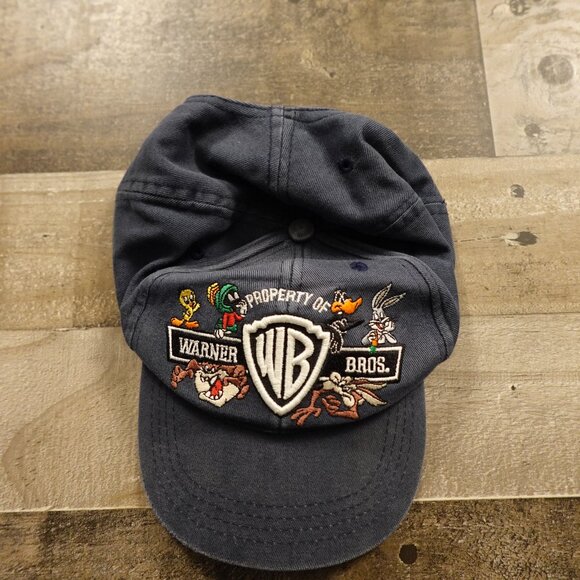 Vintage Warner Bros Looney Tunes Embroidered Hat (1999 Studio Store) Kids snap - Picture 1 of 8